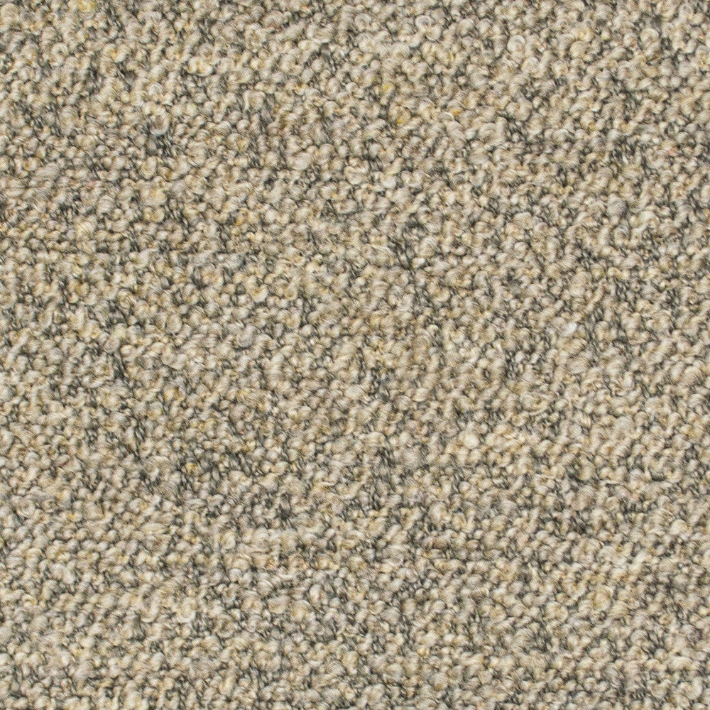 Provato Warm Sand by Europatex Fabric Provato 95% Polyester, 5% Acrylic 0.00 55.00 inches - Fabric Carolina -