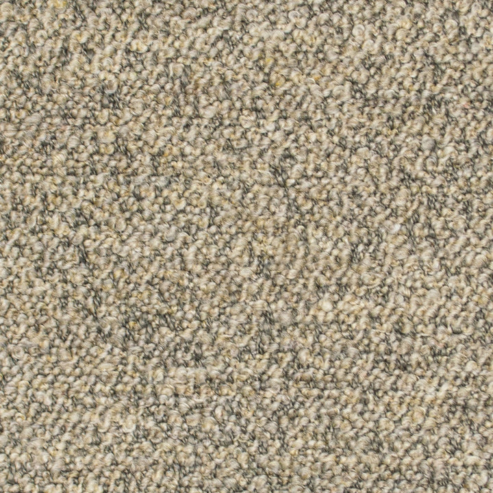 Provato Warm Sand by Europatex Fabric Provato 95% Polyester, 5% Acrylic 0.00 55.00 inches - Fabric Carolina -