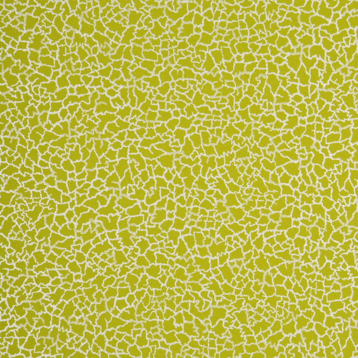 Ming Lime/Silver by Baker Lifestyle Wallcovering