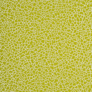 Ming Lime/Silver by Baker Lifestyle Wallcovering