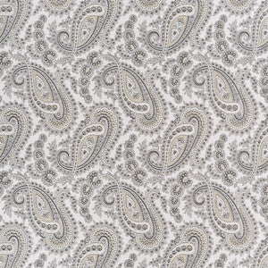Kathak Paisley Ivory/Silver by Baker Lifestyle Wallcovering