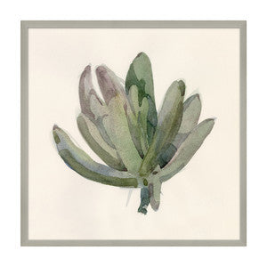 Succulent Study, By Barbara Barry QR-21039.GREENMULTI.0 by CuratedKravet