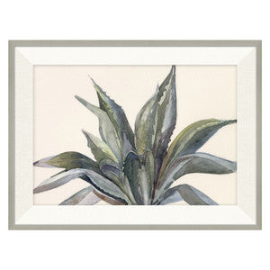 Agave Mia, By Barbara Barry QR-21040.GREENMULTI.0 by CuratedKravet