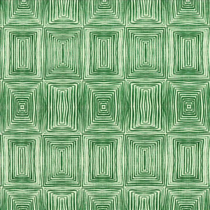 Quadri Green by Kasmir Fabric 5154 100% Linen
 POLAND 15,000 Wyzenbeek Double Rubs Horizontal: 13 4/8 inches and Vertical: 17 6/8 inches 54 - Fabric Carolina -