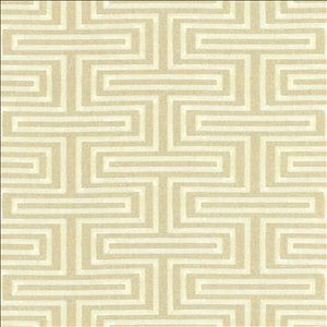 Quandary Pearl by Kasmir Fabric
