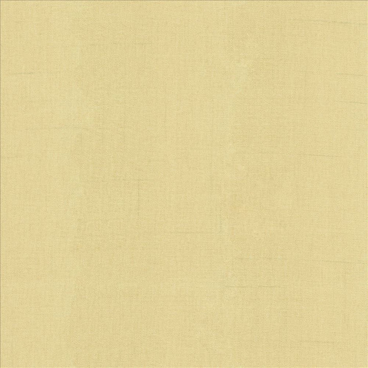 Quarry Biscuit by Kasmir Fabric 5148 100% Polyester
 INDIA 100,000 Wyzenbeek Double Rubs Horizontal: N/A and Vertical: N/A 54 - Fabric Carolina -