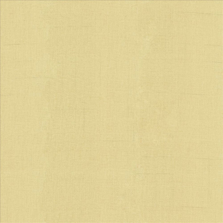 Quarry Biscuit by Kasmir Fabric 5148 100% Polyester
 INDIA </p><p>Repeat: Horizontal: N/A and Vertical: N/A 54 - Fabric Carolina -