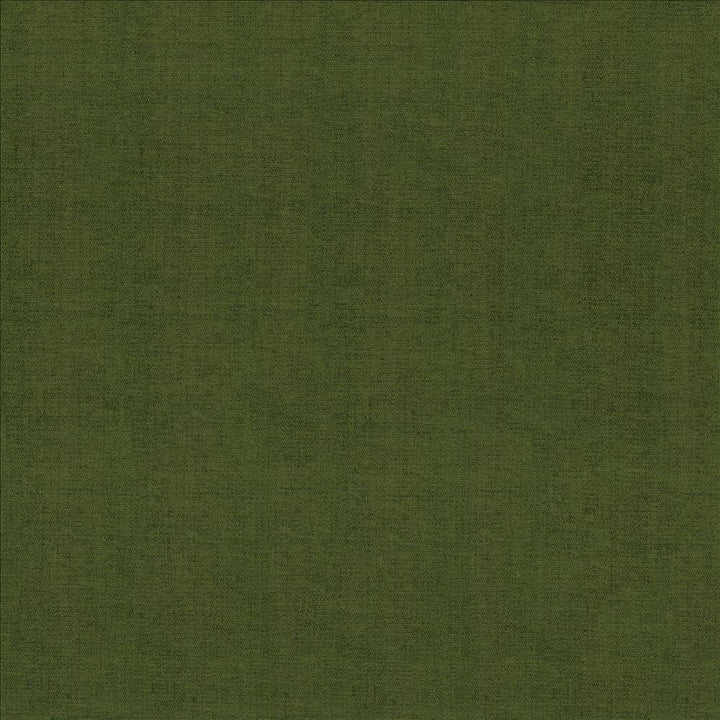 Quarry Boxwood by Kasmir Fabric 5148 100% Polyester
 INDIA </p><p>Repeat: Horizontal: N/A and Vertical: N/A 54 - Fabric Carolina -