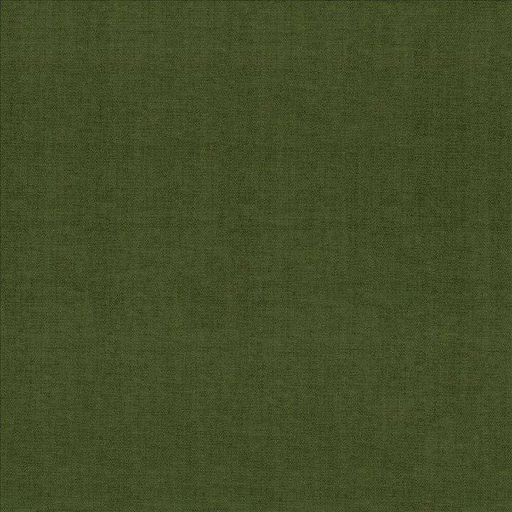 Quarry Boxwood by Kasmir Fabric 5148 100% Polyester
 INDIA 100,000 Wyzenbeek Double Rubs Horizontal: N/A and Vertical: N/A 54 - Fabric Carolina -