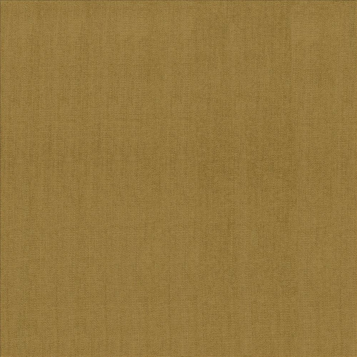 Quarry Butterscotch by Kasmir Fabric 5148 100% Polyester
 INDIA 100,000 Wyzenbeek Double Rubs </p><p>Repeat: Horizontal: N/A and Vertical: N/A 54 - Fabric Carolina -