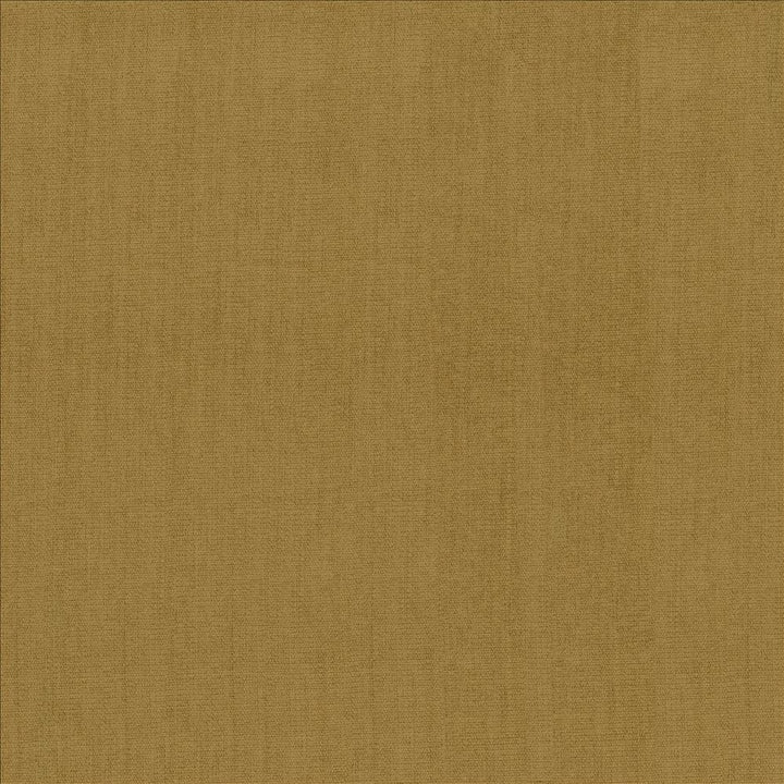 Quarry Butterscotch by Kasmir Fabric 5148 100% Polyester
 INDIA </p><p>Repeat: Horizontal: N/A and Vertical: N/A 54 - Fabric Carolina -