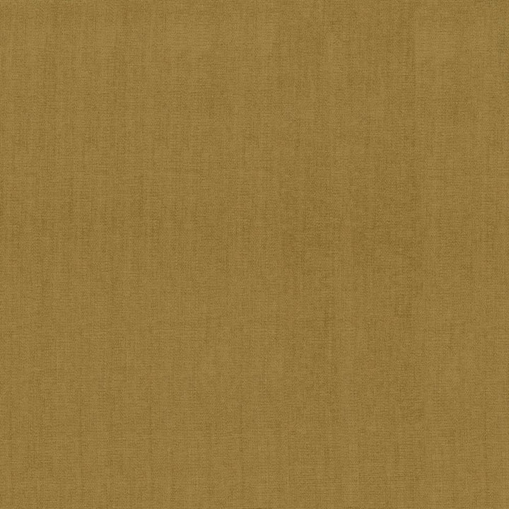 Quarry Butterscotch by Kasmir Fabric 5148 100% Polyester
 INDIA </p><p>Repeat: Horizontal: N/A and Vertical: N/A 54 - Fabric Carolina -