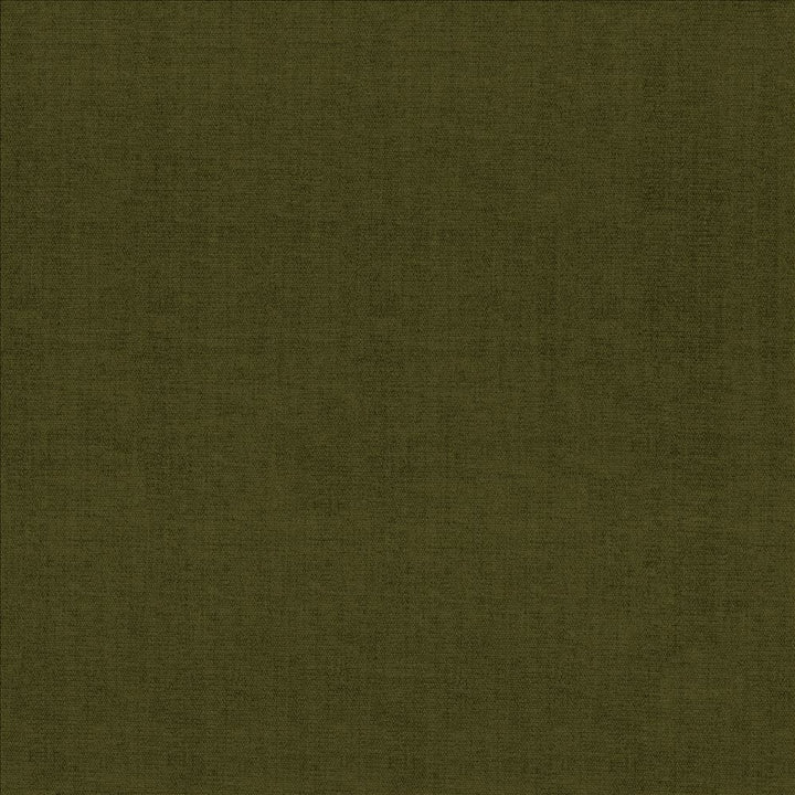 Quarry Cypress by Kasmir Fabric 5148 100% Polyester
 INDIA </p><p>Repeat: Horizontal: N/A and Vertical: N/A 54 - Fabric Carolina -