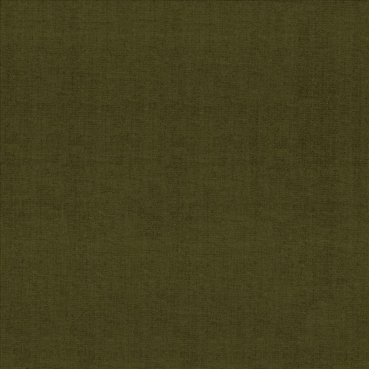 Quarry Cypress by Kasmir Fabric 5148 100% Polyester
 INDIA 100,000 Wyzenbeek Double Rubs Horizontal: N/A and Vertical: N/A 54 - Fabric Carolina -
