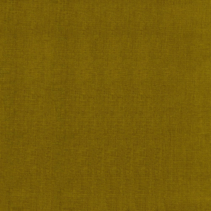 Quarry Honey by Kasmir Fabric 5148 100% Polyester
 INDIA </p><p>Repeat: Horizontal: N/A and Vertical: N/A 54 - Fabric Carolina -