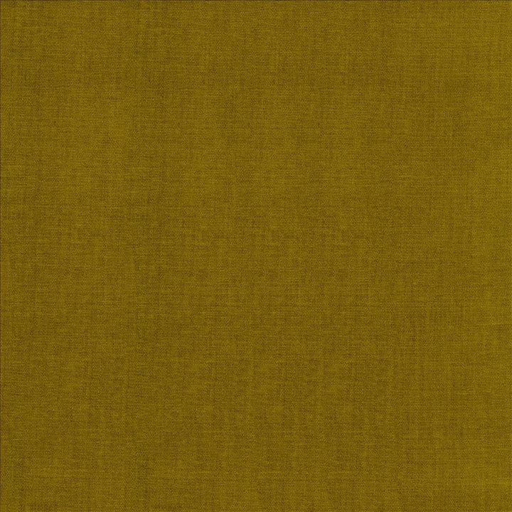 Quarry Honey  by Kasmir Fabric See sample 100% Polyester
 INDIA 100,000 Wyzenbeek Double Rubs </p><p>Repeat: Horizontal: N/A and Vertical: N/A 54  - Fabric Carolina -