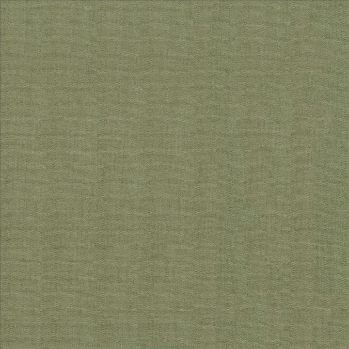 Quarry Seaglass by Kasmir Fabric 5148 100% Polyester
 INDIA </p><p>Repeat: Horizontal: N/A and Vertical: N/A 54 - Fabric Carolina -