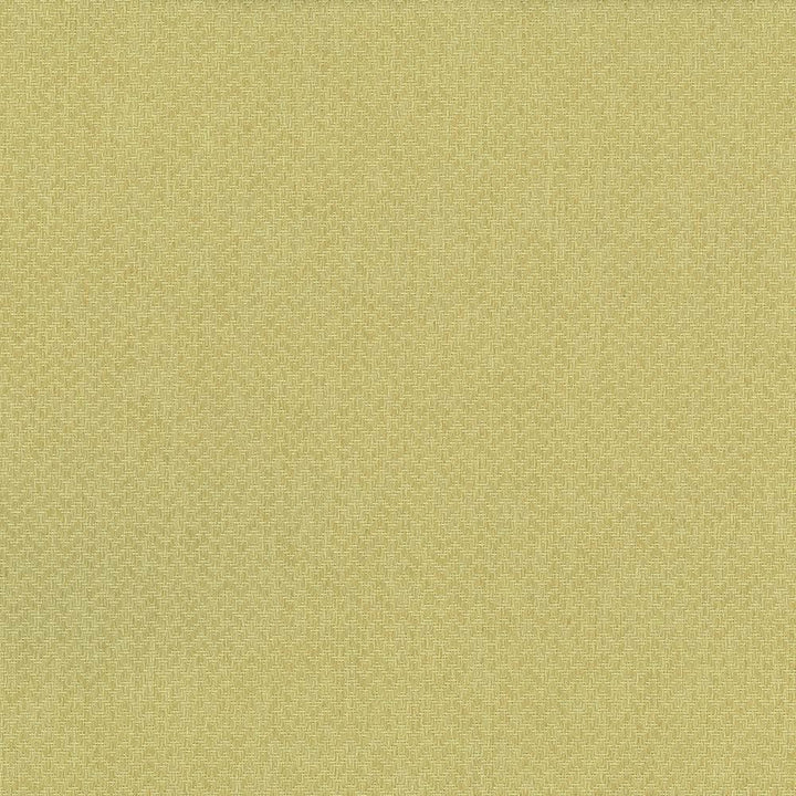 Quartet Chevron Celery Green by Kasmir Fabric 5041 100% Polyester
 INDIA 30,000 Martindale Cycles Horizontal: N/A and Vertical: N/A 54 - Fabric Carolina -