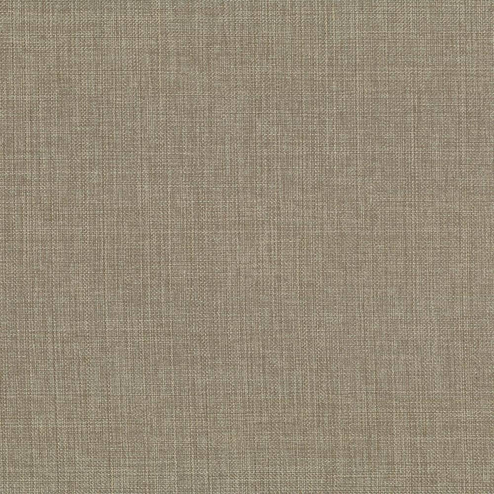 Quartet Solid Antique by Kasmir Fabric 5041 INDIA 30,000 Martindale Cycles H: N/A, V:N/A 54 - Fabric Carolina - Kasmir