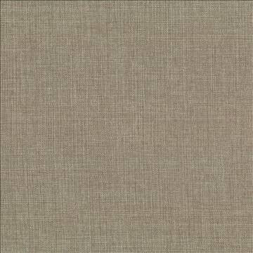 Quartet Solid Antique by Kasmir Fabric 5041 100% Polyester INDIA 30,000 Martindale Cycles H: N/A, V: N/A 54 - Fabric Carolina - Kasmir