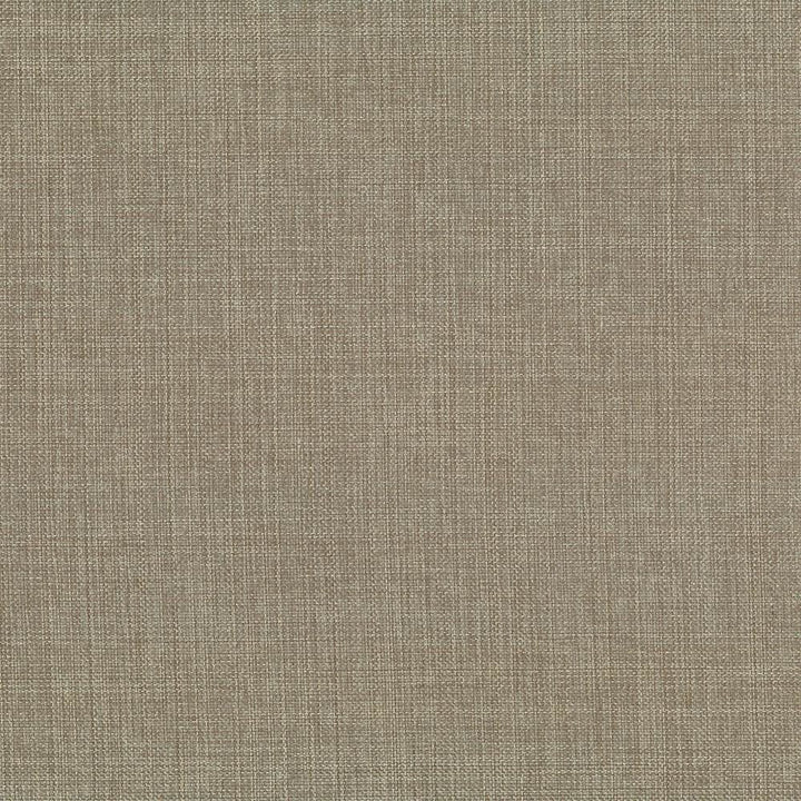 Quartet Solid Antique  by Kasmir Fabric See sample 100% Polyester
 INDIA 30,000 Martindale Cycles </p><p>Repeat: Horizontal: N/A and Vertical: N/A 54  - Fabric Carolina -