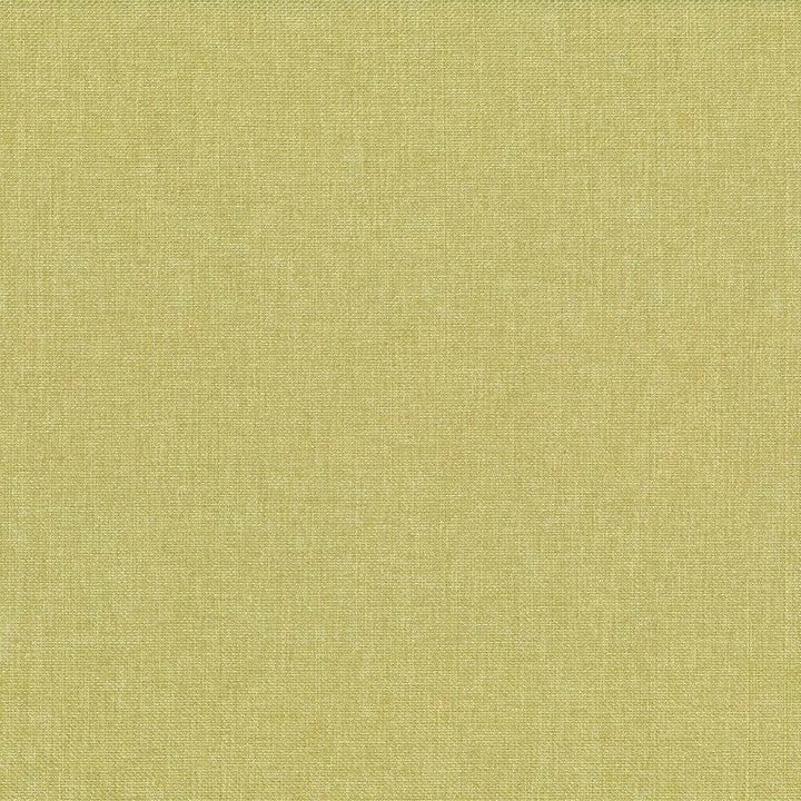 Quartet Solid Celery Green by Kasmir Fabric 5041 100% Polyester
 INDIA </p><p>Repeat: Horizontal: N/A and Vertical: N/A 54 - Fabric Carolina -