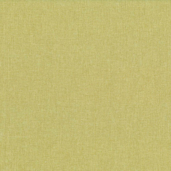 Quartet Solid Celery Green by Kasmir Fabric 5041 INDIA 30,000 Martindale Cycles H: N/A, V:N/A 54 - Fabric Carolina - Kasmir