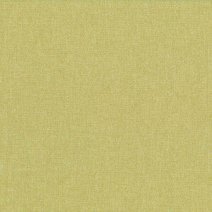 Quartet Solid Celery Green by Kasmir Fabric