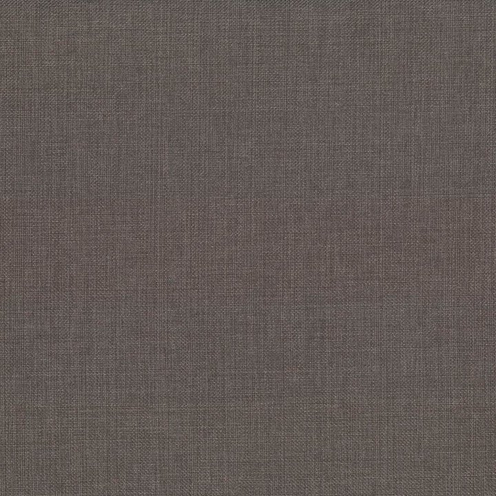 Quartet Solid Cocoa by Kasmir Fabric 5041 100% Polyester
 INDIA </p><p>Repeat: Horizontal: N/A and Vertical: N/A 54 - Fabric Carolina -