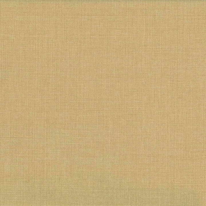 Quartet Solid Gold by Kasmir Fabric 5041 INDIA 30,000 Martindale Cycles H: N/A, V:N/A 54 - Fabric Carolina - Kasmir