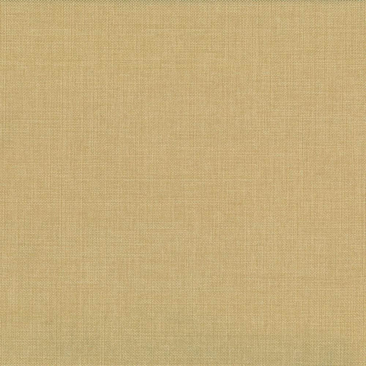 Quartet Solid Gold by Kasmir Fabric 5041 100% Polyester INDIA 30,000 Martindale Cycles Horizontal: 0 Inches and Vertical: 0 Inches 54 - Fabric Carolina -