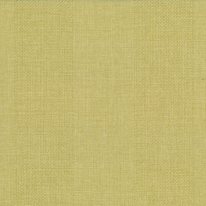Quartet Stripe Celery Green by Kasmir Fabric 5041 100% Polyester INDIA 30,000 Martindale Cycles Horizontal: 6.5 inches and Vertical: 0 Inches 54 - Fabric Carolina -