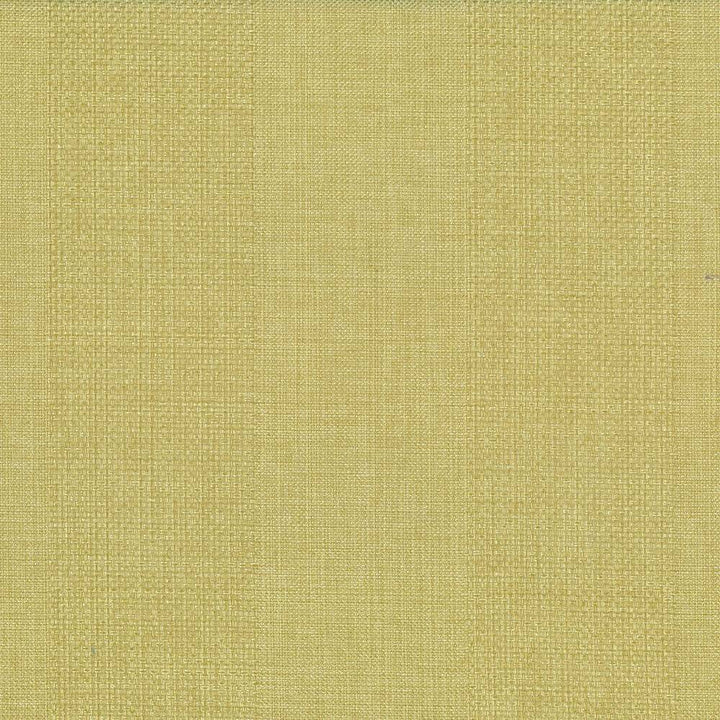 Quartet Stripe Celery Green by Kasmir Fabric 5041 INDIA 30,000 Martindale Cycles H: 6.5 inches, V:N/A 54 - Fabric Carolina - Kasmir