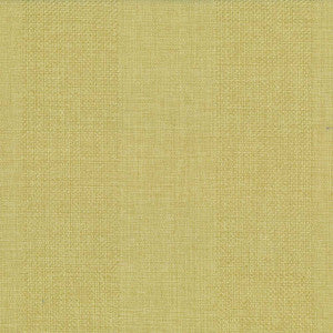 Quartet Stripe Celery Green by Kasmir Fabric