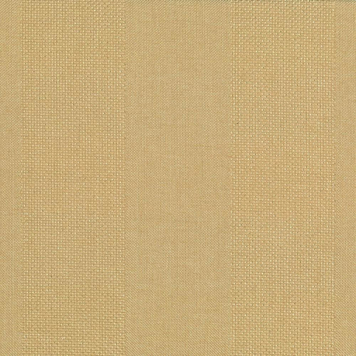 Quartet Stripe Gold by Kasmir Fabric 5041 100% Polyester INDIA 30,000 Martindale Cycles Horizontal: 6.5 inches and Vertical: 0 Inches 54 - Fabric Carolina -