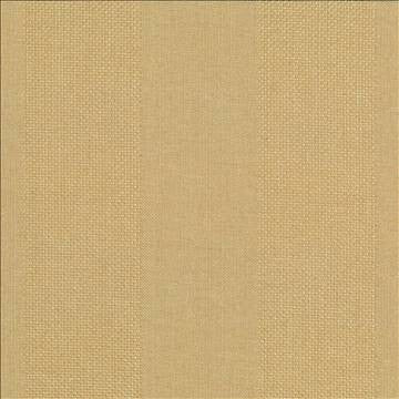 Quartet Stripe Gold by Kasmir Fabric 5041 100% Polyester INDIA 30,000 Martindale Cycles H: 6.5 inches, V: N/A 54 - Fabric Carolina - Kasmir