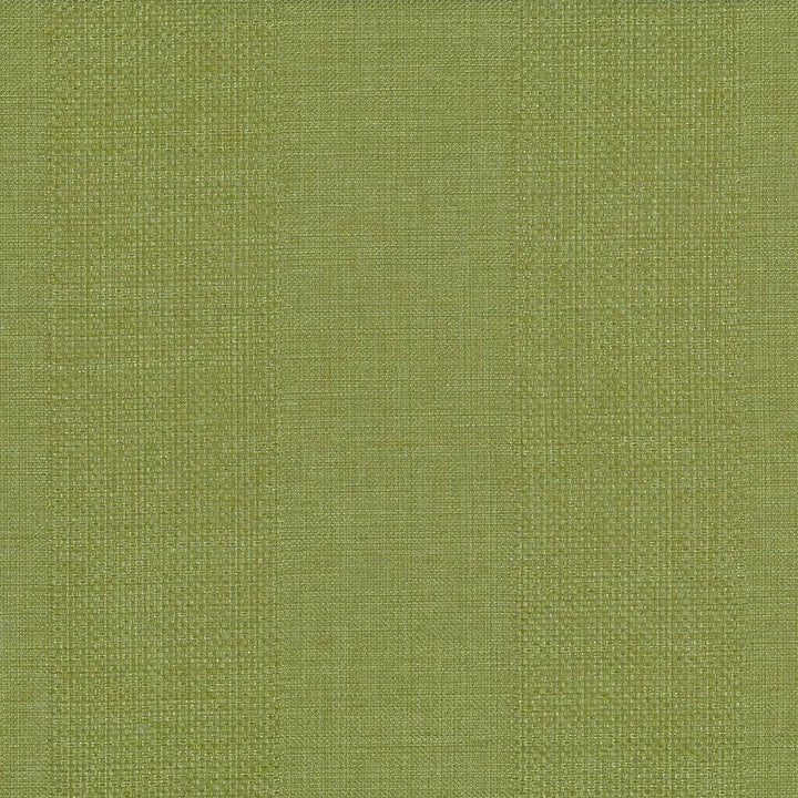 Quartet Stripe Green by Kasmir Fabric 5041 INDIA 30,000 Martindale Cycles H: 6.5 inches, V:N/A 54 - Fabric Carolina - Kasmir