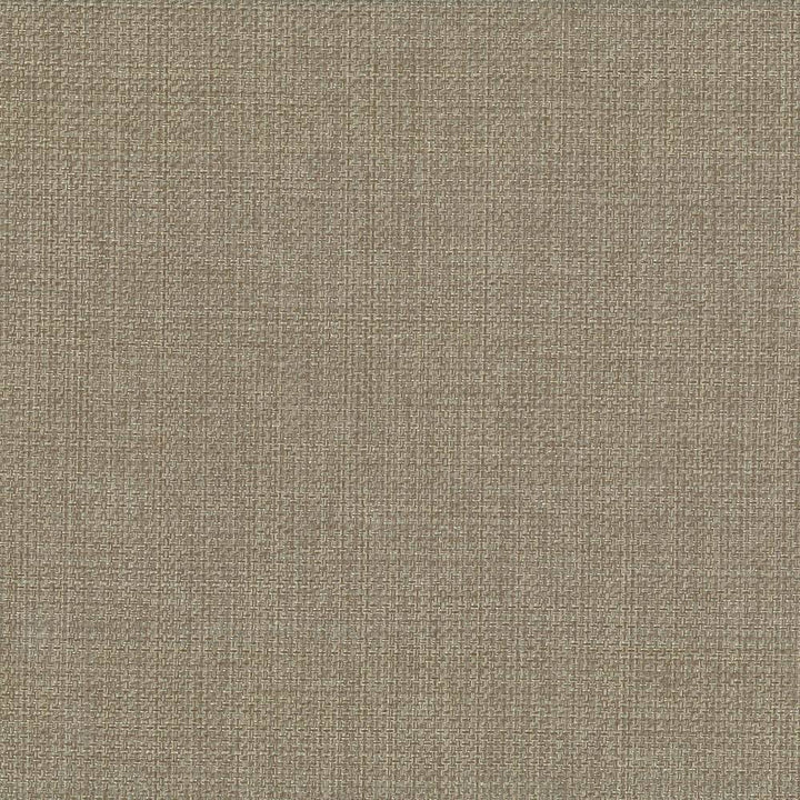 Quartet Texture Antique by Kasmir Fabric 5041 INDIA 30,000 Martindale Cycles H: N/A, V:N/A 54 - Fabric Carolina - Kasmir