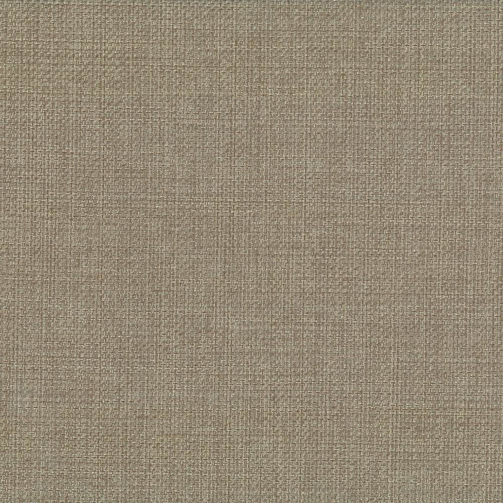 Quartet Texture Antique by Kasmir Fabric 5041 100% Polyester
 INDIA </p><p>Repeat: Horizontal: N/A and Vertical: N/A 54 - Fabric Carolina -
