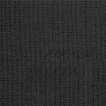 Quartet Texture Black by Kasmir Fabric 5041 100% Polyester INDIA 30,000 Martindale Cycles H: N/A, V: N/A 54 - Fabric Carolina - Kasmir