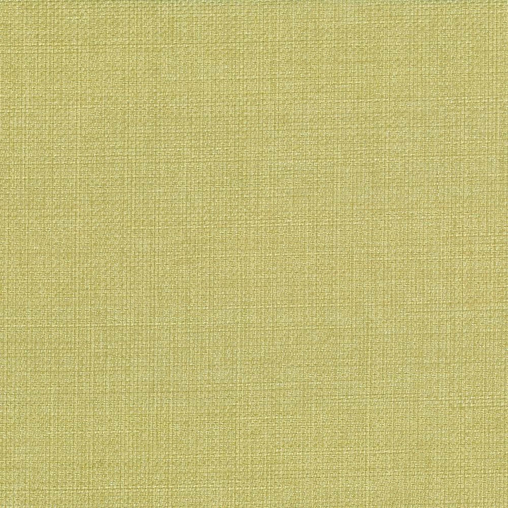 Quartet Texture Celery Green by Kasmir Fabric 5041 100% Polyester INDIA 30,000 Martindale Cycles Horizontal: 0 Inches and Vertical: 0 Inches 54 - Fabric Carolina -