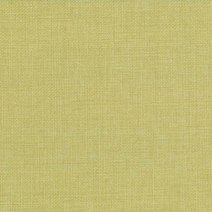 Quartet Texture Celery Green by Kasmir Fabric 5041 INDIA 30,000 Martindale Cycles H: N/A, V:N/A 54 - Fabric Carolina - Kasmir