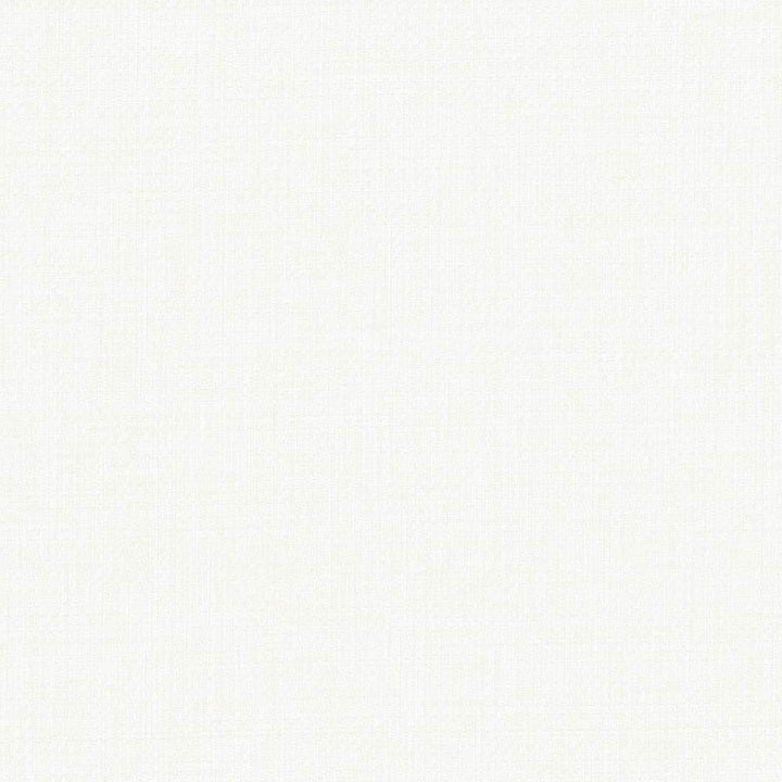 Quartet Texture Ecru by Kasmir Fabric 5041 100% Polyester INDIA 30,000 Martindale Cycles Horizontal: 0 Inches and Vertical: 0 Inches 54 - Fabric Carolina -