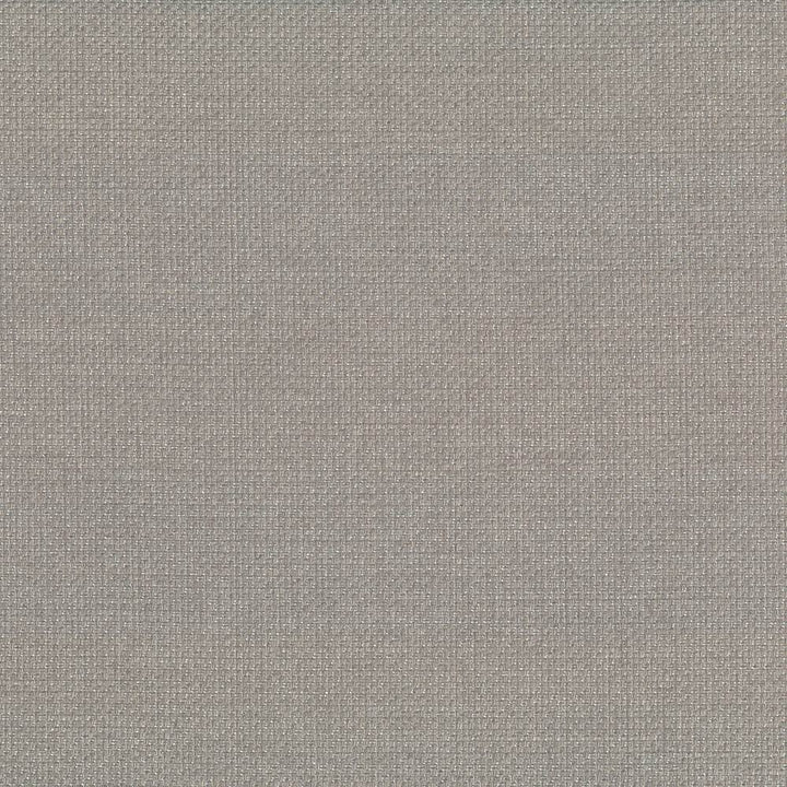 Quartet Texture Fog by Kasmir Fabric 5041 100% Polyester INDIA 30,000 Martindale Cycles Horizontal: 0 Inches and Vertical: 0 Inches 54 - Fabric Carolina -