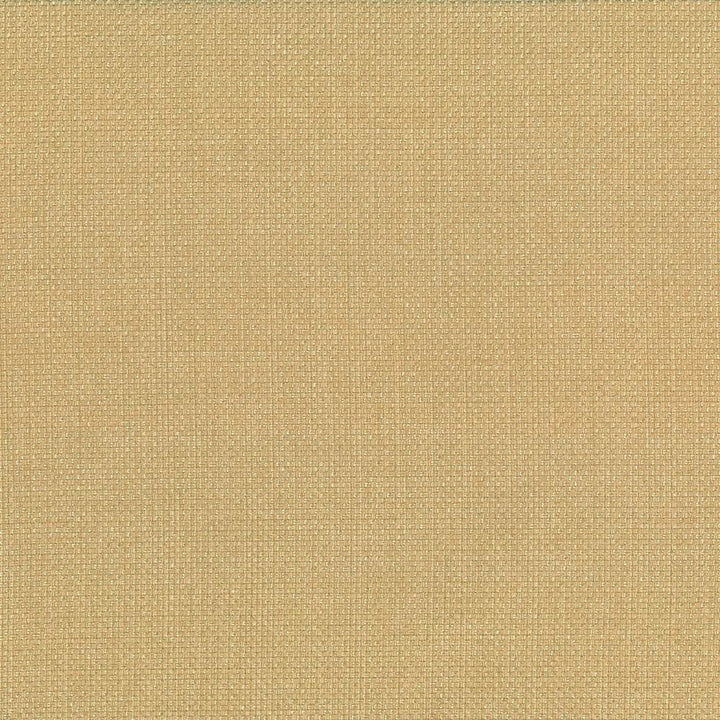 Quartet Texture Gold by Kasmir Fabric 5041 100% Polyester
 INDIA </p><p>Repeat: Horizontal: N/A and Vertical: N/A 54 - Fabric Carolina -