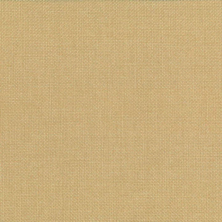 Quartet Texture Gold by Kasmir Fabric 5041 INDIA 30,000 Martindale Cycles H: N/A, V:N/A 54 - Fabric Carolina - Kasmir