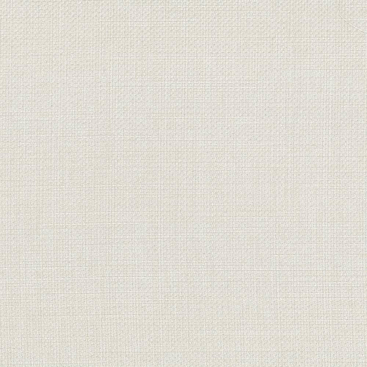 Quartet Texture Pearl by Kasmir Fabric 5041 INDIA 30,000 Martindale Cycles H: N/A, V:N/A 54 - Fabric Carolina - Kasmir