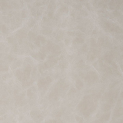 Randwick Shale by Kravet Design Fabric