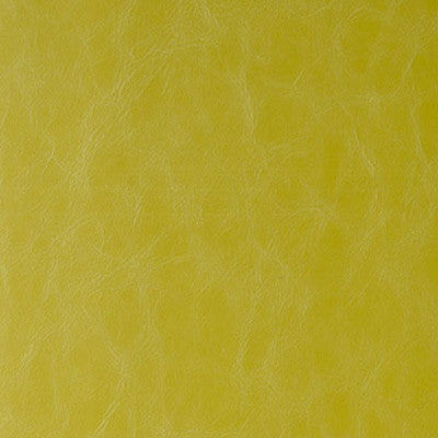 Randwick Wasabi by Kravet Design Fabric