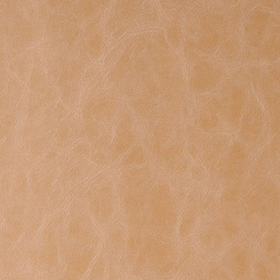 Randwick Buckskin by Kravet Design Fabric